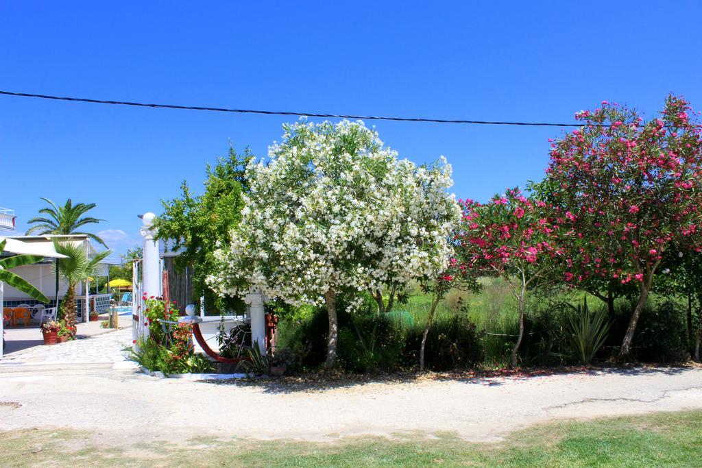 Crystal Apartment Kavos Ngoại thất bức ảnh